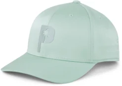 PUMA X PTC Men's Palm Tree Golf Cap -Golf Master Shop 02464503 AQUAGREEN AL