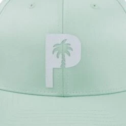 PUMA X PTC Men's Palm Tree Golf Cap -Golf Master Shop 02464503 AQUAGREEN DET