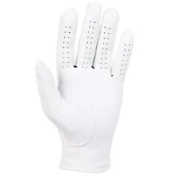 Titleist 2019 Perma Soft Golf Gloves -Golf Master Shop 6597E 101 NOCOLOR BCK