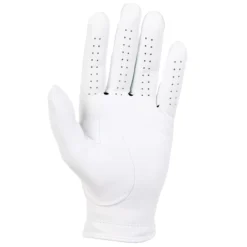 Titleist 2019 Players Golf Glove -Golf Master Shop 6629E 101 NOCOLOR BCK
