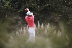 FootJoy 2023 StaSof Golf Glove -Golf Master Shop 66770 NOCOLOR DET alt2