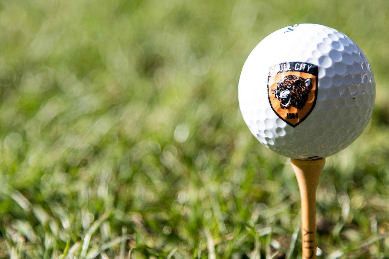 Golf Master Shop -Golf Master Shop golf ball 1lowres